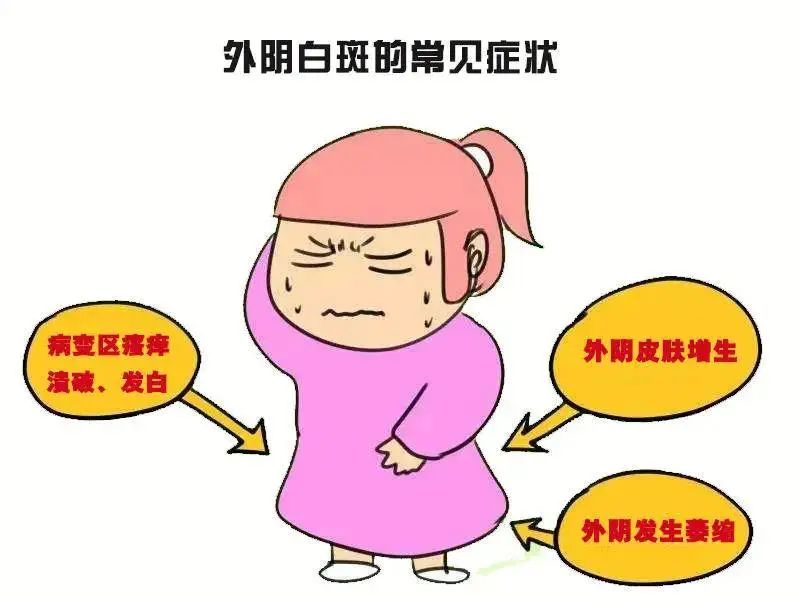 哪些女性容易患上外阴白斑?